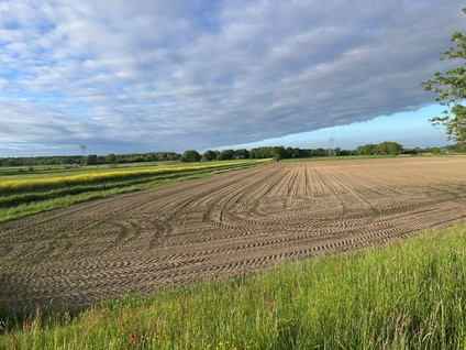 Kadoelerweg - Sint Jansklooster