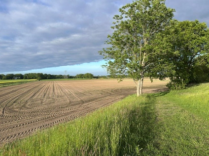 Kadoelerweg 