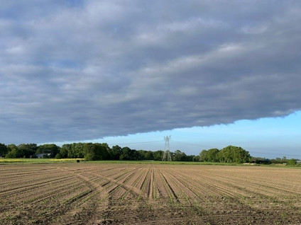 Kadoelerweg 