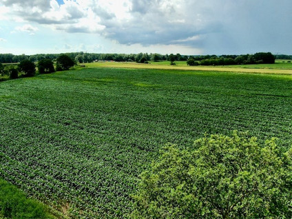 Kadoelerweg 
