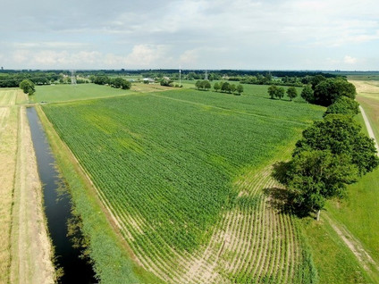 Kadoelerweg 