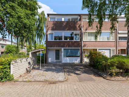 Schepenen 19