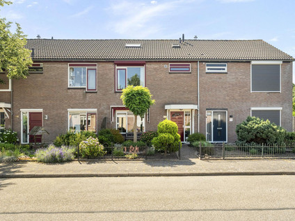 Pluutstraat 44