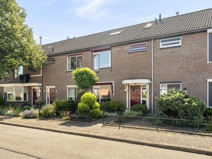 Pluutstraat 44