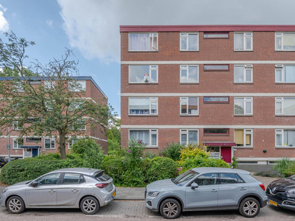 Ruigoord 282