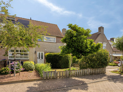 Roerdomp 67