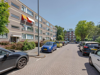 Ruigoord 131