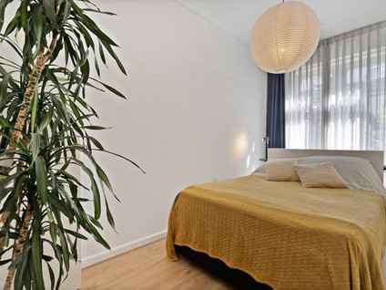 Kamperfoeliestraat 225