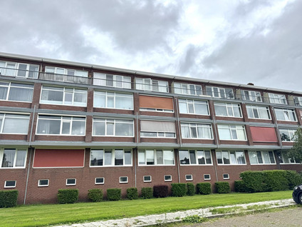 Zigzagoven 19
