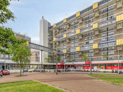 Dijkgraafplein 311