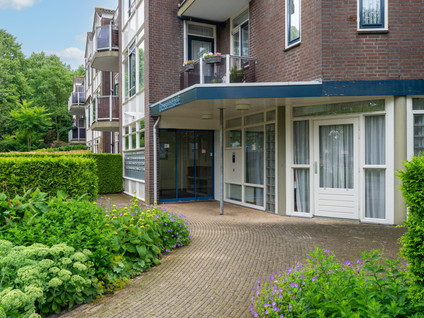 Schildersplein 115