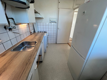 Wilgenplaslaan 388