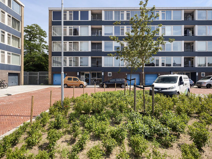 Zonnebloemstraat 58