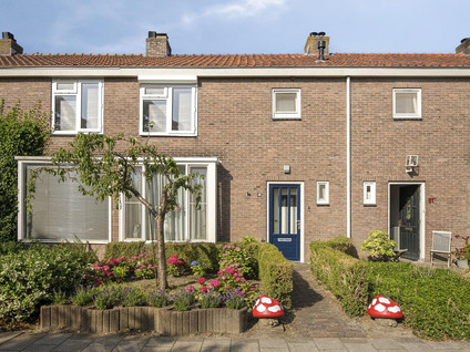 Willemsstraat 49