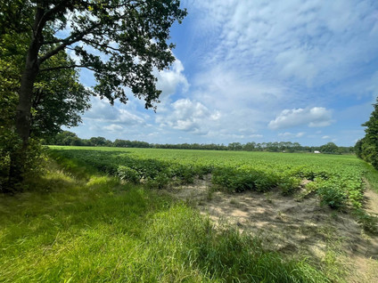 Hennehorstweg ONG - Uffelte