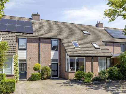 Robijn 11