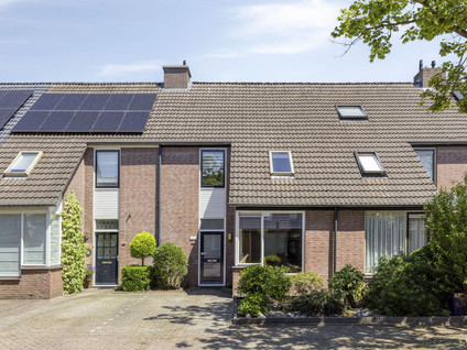 Robijn 11