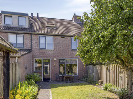 Robijn 11