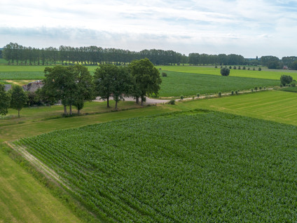 Twistdijk 4