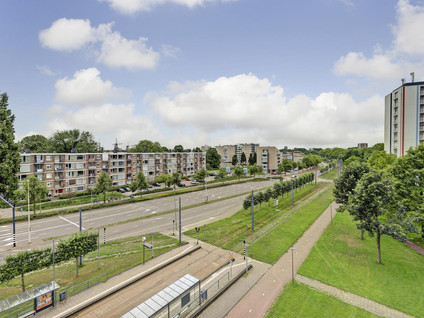 Louis Raemaekersstraat 49