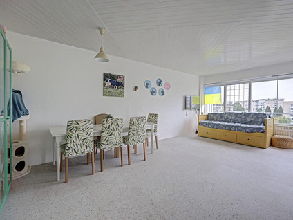 Louis Raemaekersstraat 49