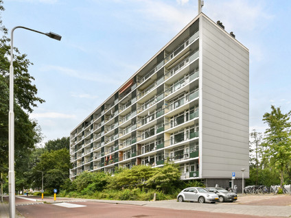Goereesepad 115