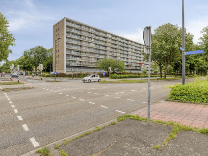 Holysingel 638