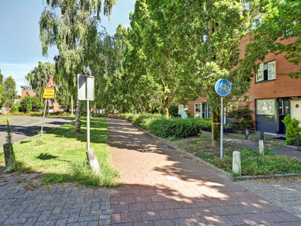 Noorse Lijster 3