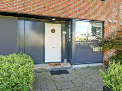 Noorse Lijster 3