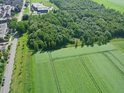 Zuiderkroon 19