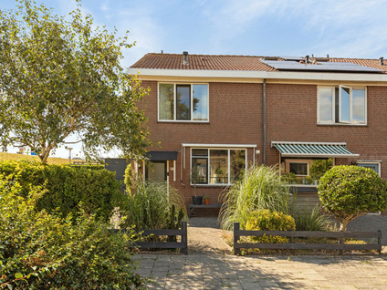Ponystraat 21