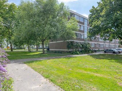 Plotinusstraat 114