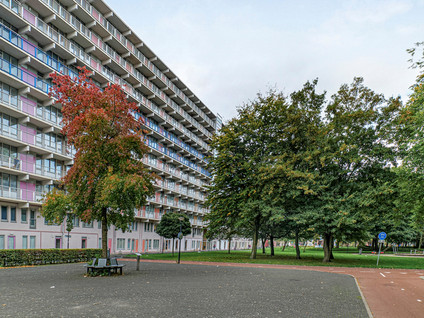 Hogevecht 87