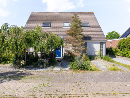 Koperwiek 4