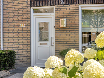 Cranendoncklaan 55