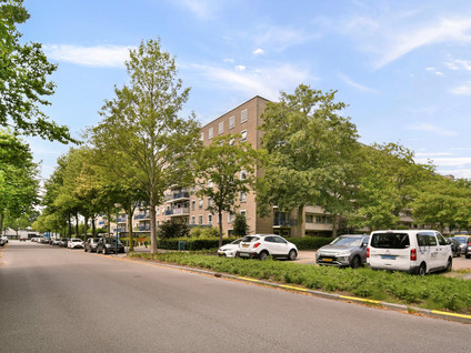 Aert van Neslaan 210