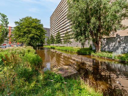 Hendrik Tollensstraat 250