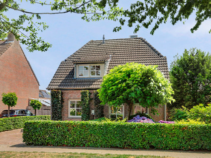 Bieshof 4