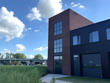 Steur 45