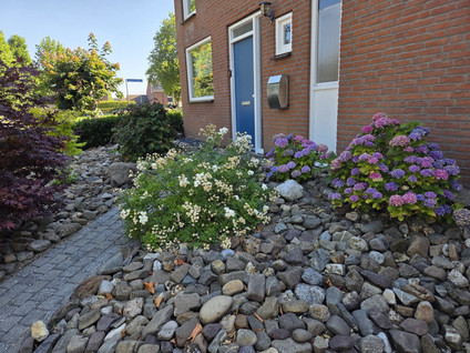 Koelmoer 51