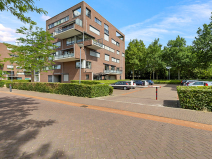 Zonneveld 42