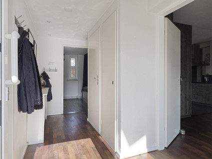 Molenstraat 54