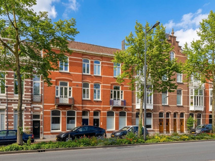 Koningsweg 31E