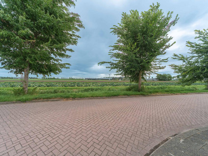 Burgemeester Honijkstr 7