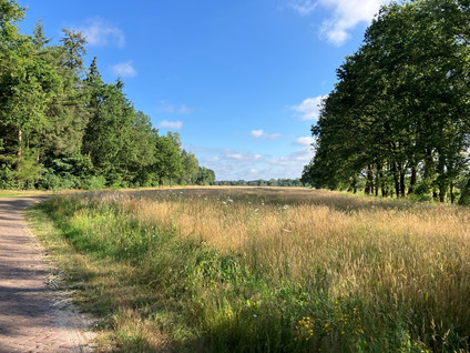 Brugseheide - Valkenswaard