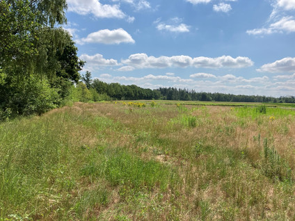 Kloosterhoefweg - Leende