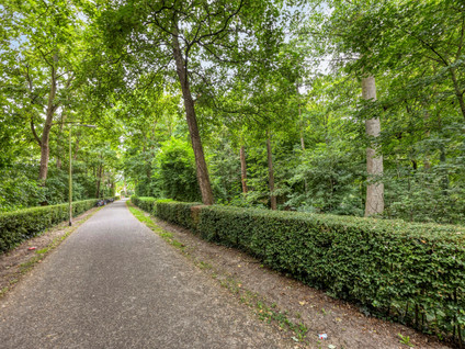 Oostdijk 85