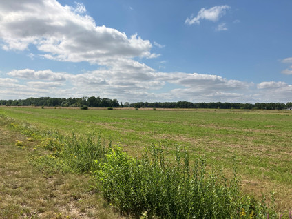 Bruggerhuizen - Leende