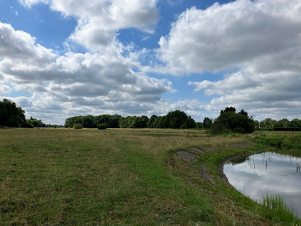 Bruggerhuizen - Leende