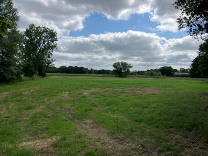 Bruggerhuizen - Leende